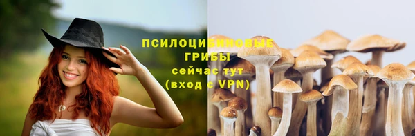не бодяженный Волосово