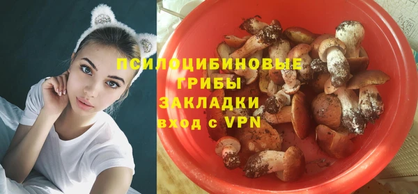 mdpv Володарск