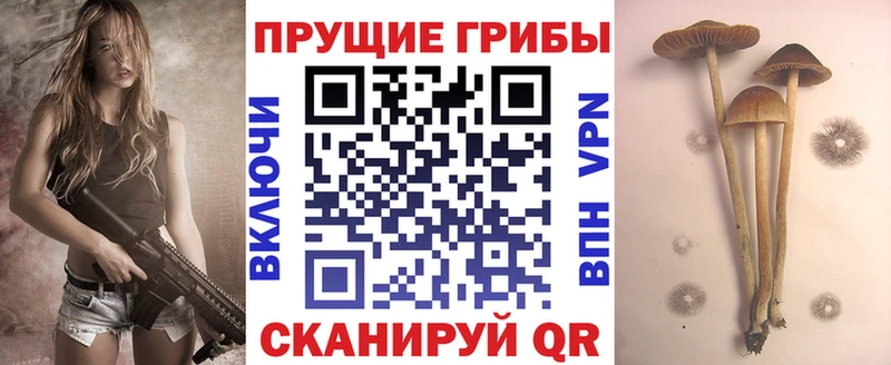 Галлюциногенные грибы ЛСД  кракен вход  Нижнекамск 